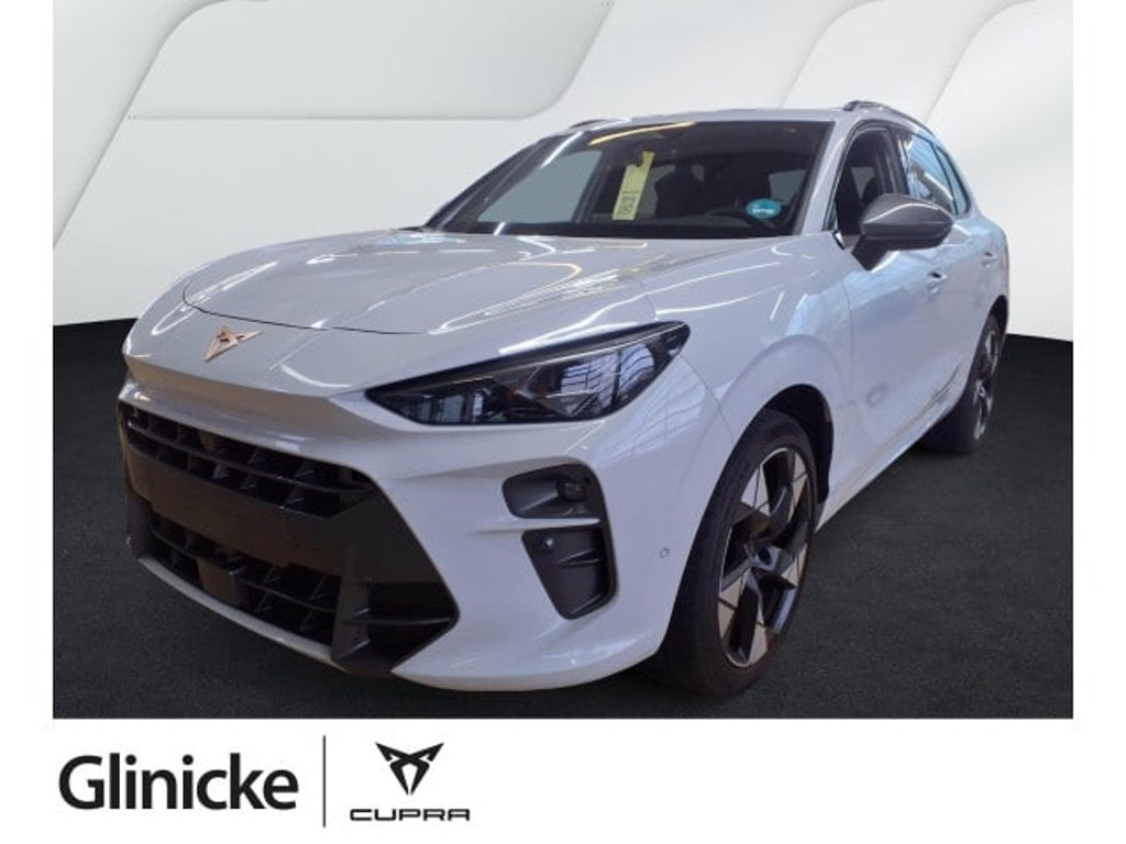 Cupra Terramar 2.0 TSI VZ