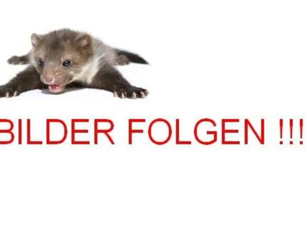 Dacia Duster 2WD TCe 130