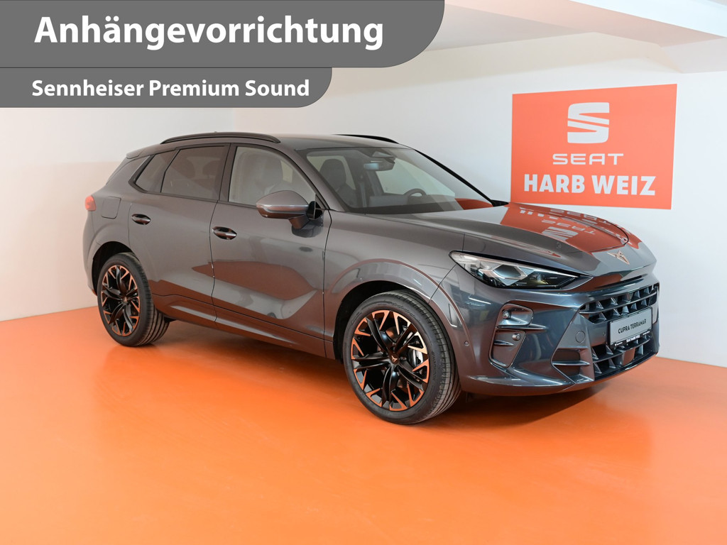 Cupra Terramar 2.0 TSI