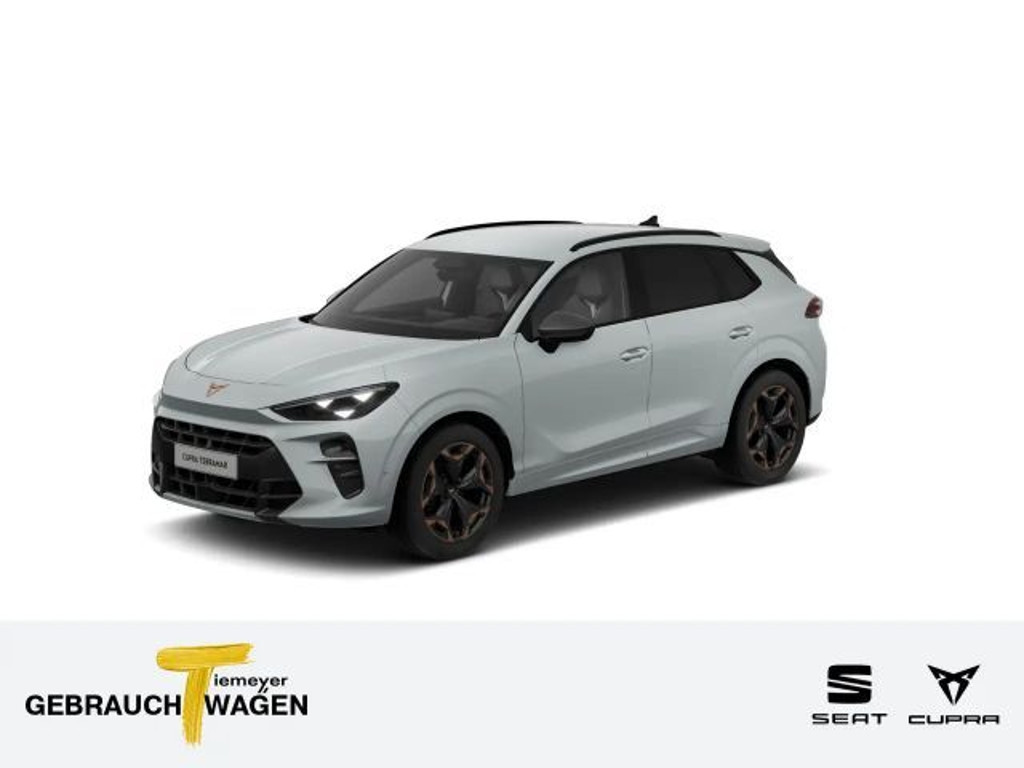 Cupra Terramar Performance