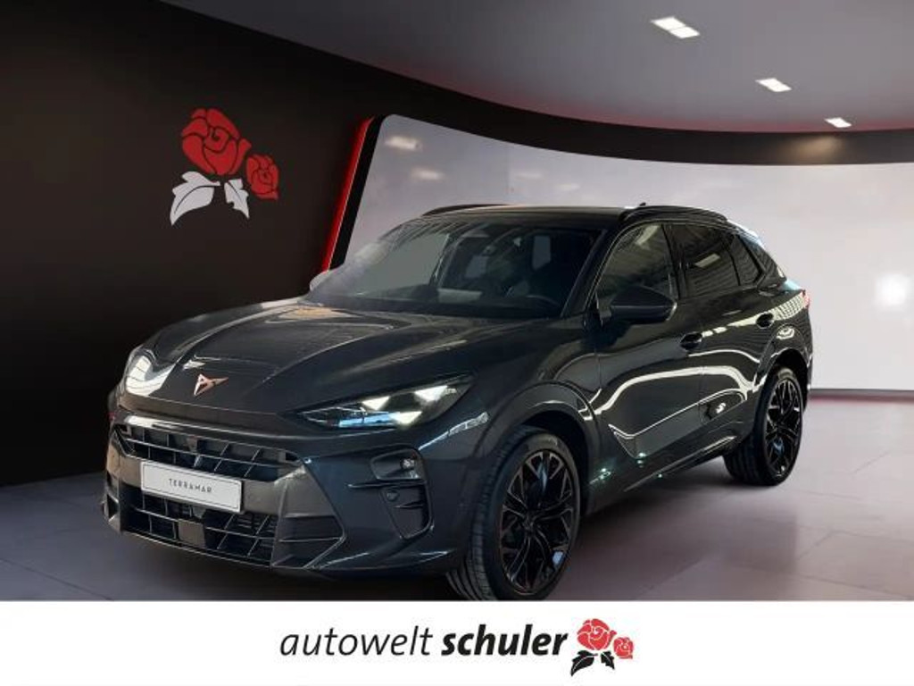 Cupra Terramar 2.0 TSI VZ