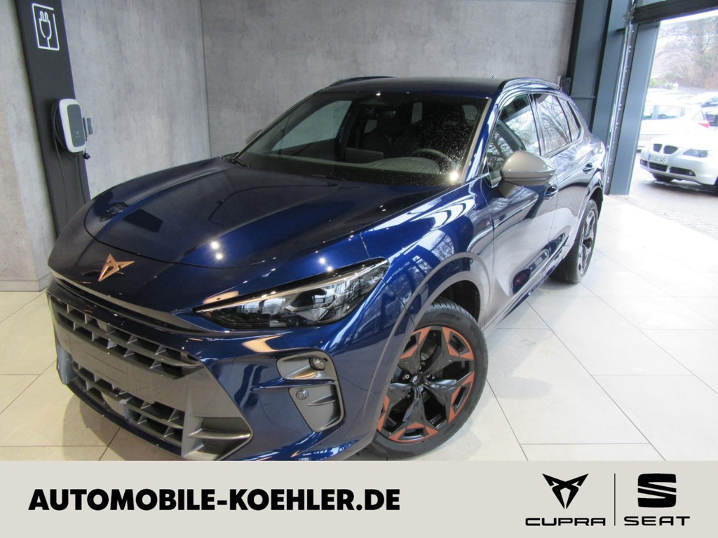 Cupra Terramar 2.0 TSI