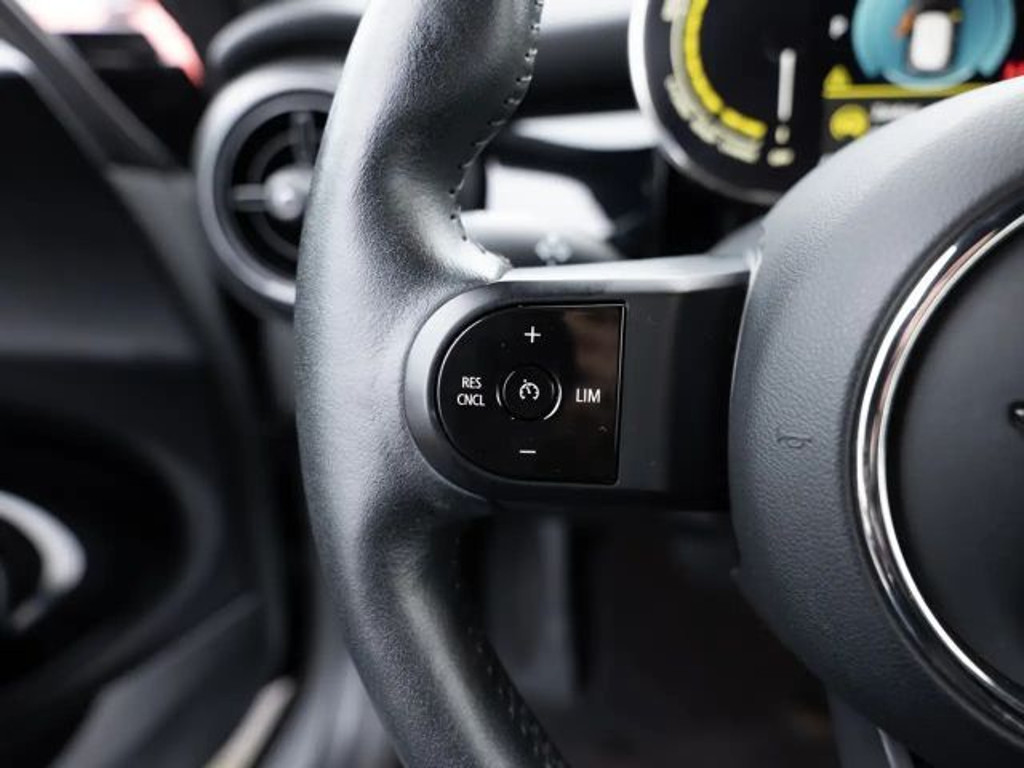 Mini Mini Electric
