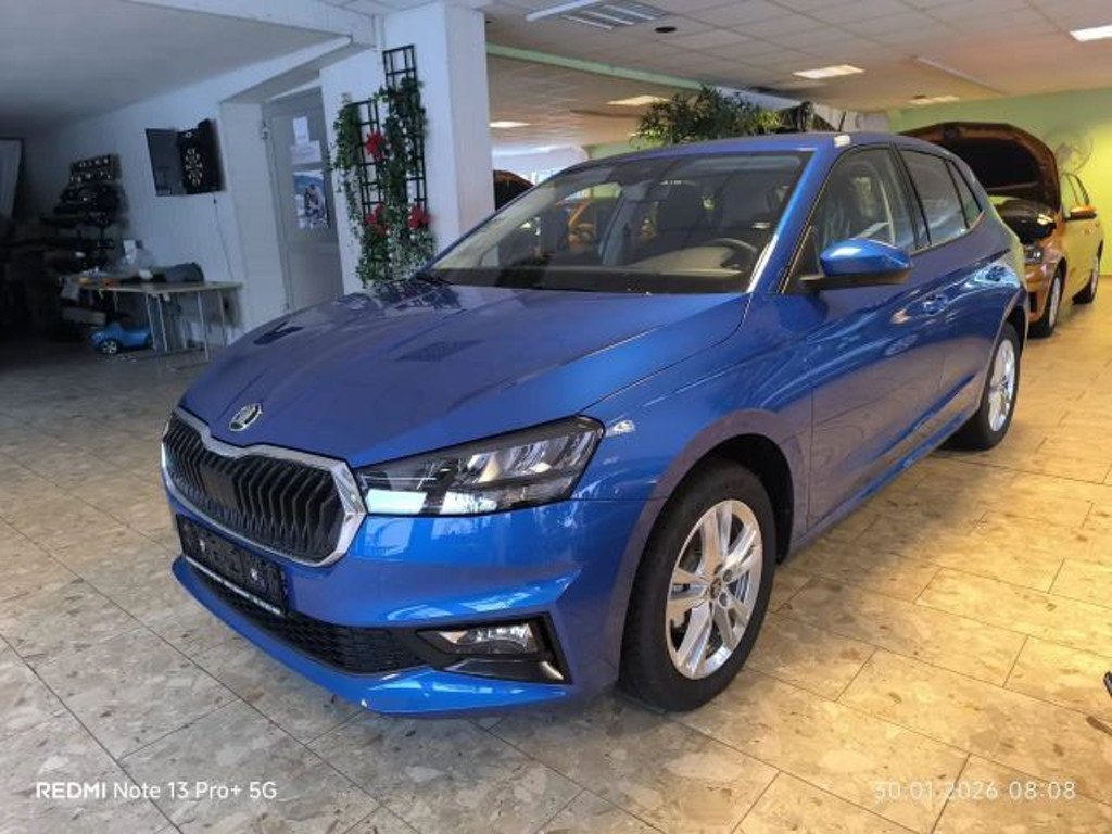 Skoda Fabia Selection