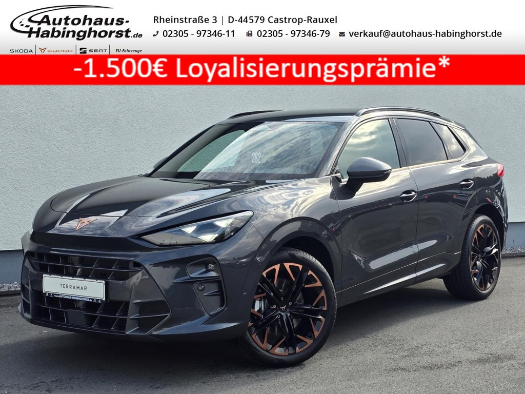 Cupra Terramar 2.0 TSI