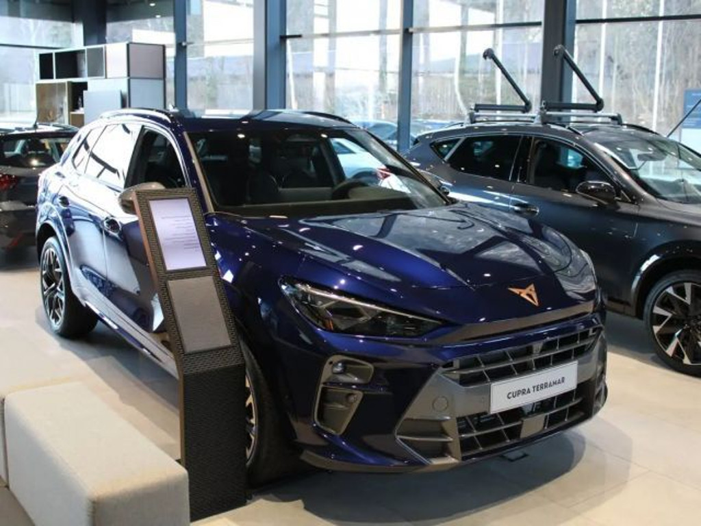 Cupra Terramar 2.0 TSI