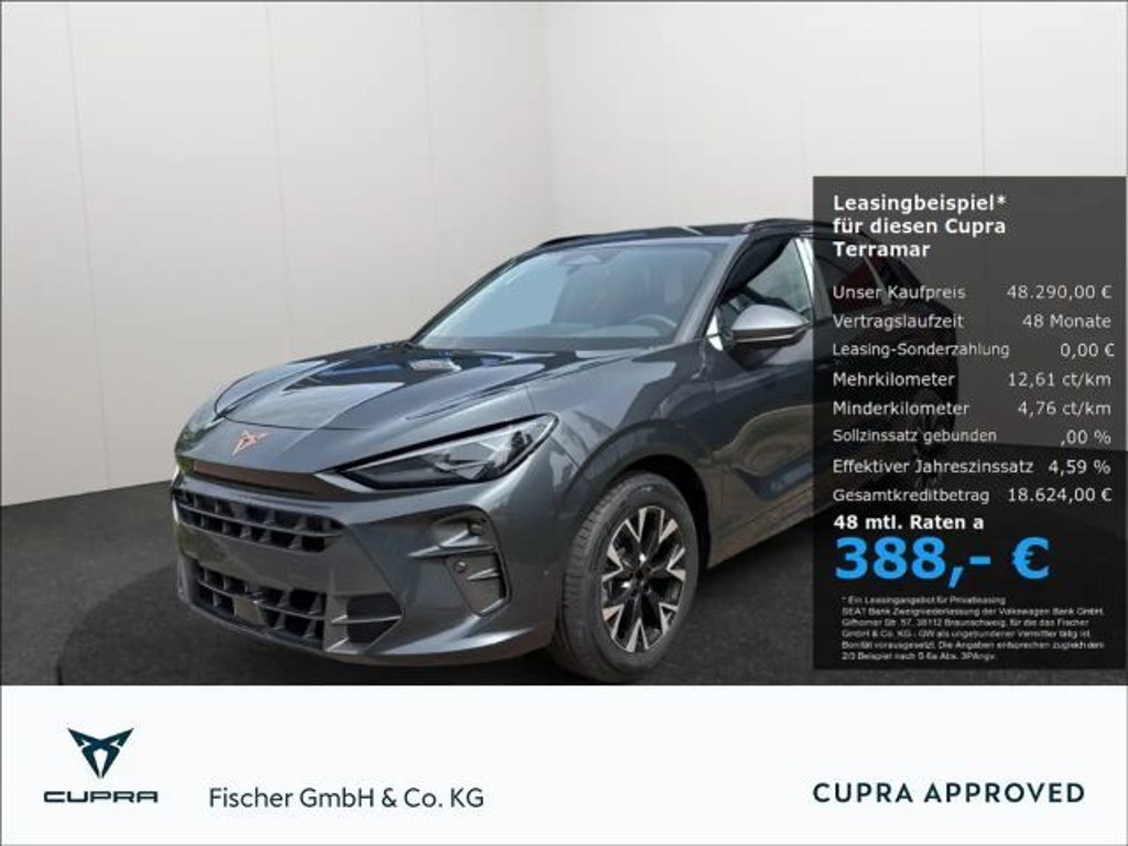 Cupra Terramar 1.5 eTSI