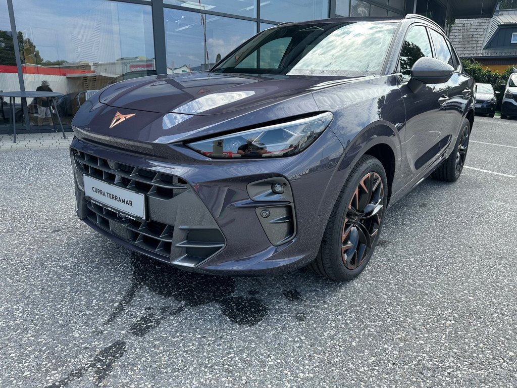 Cupra Terramar