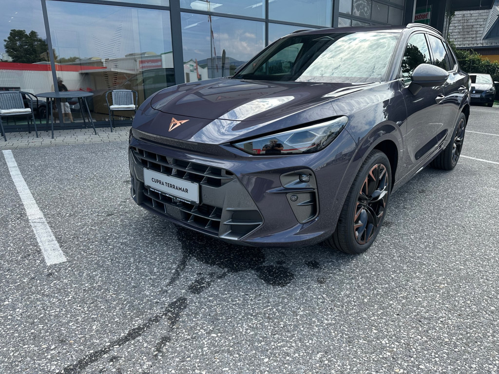 Cupra Terramar