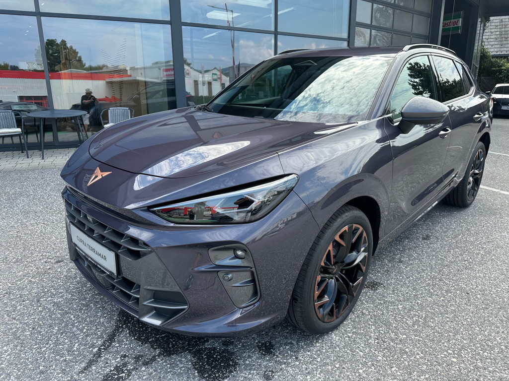 Cupra Terramar