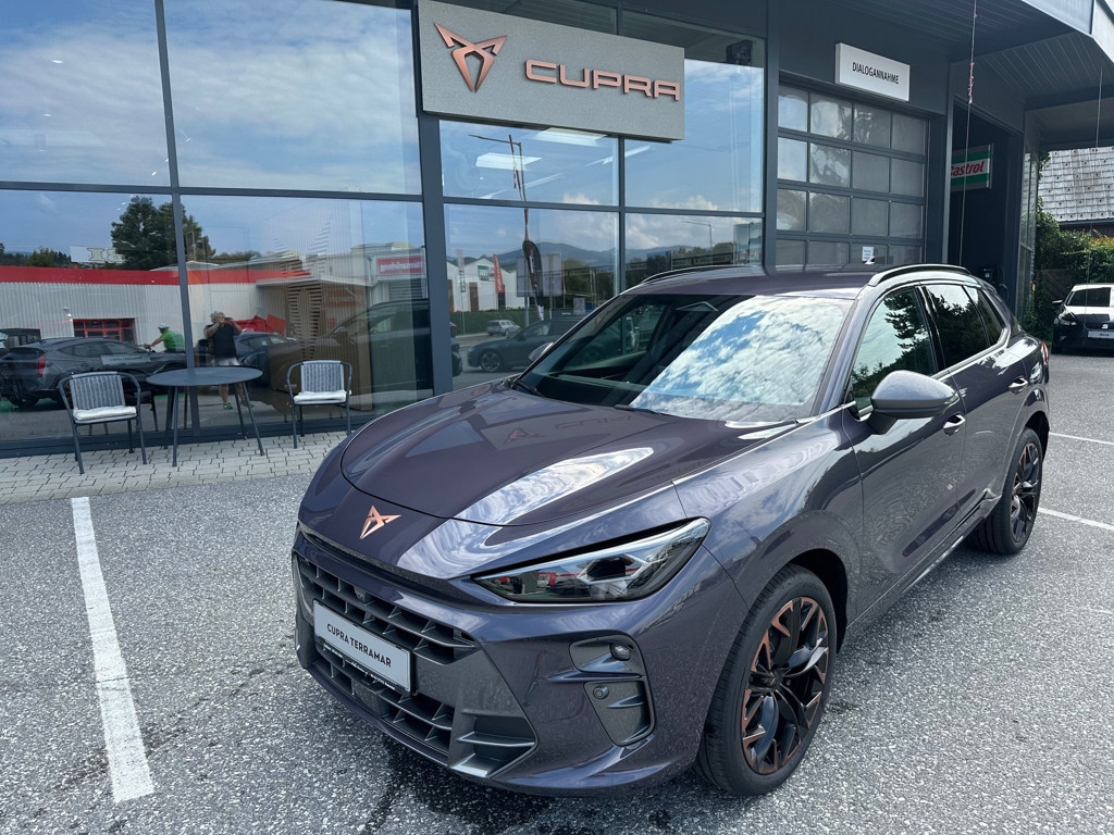 Cupra Terramar