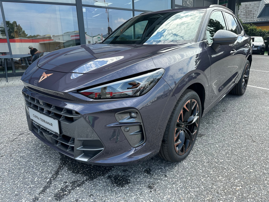 Cupra Terramar