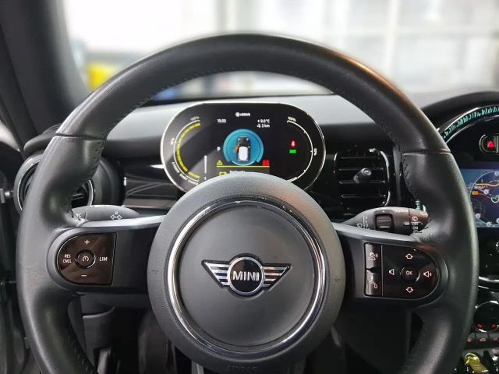 Mini Mini Electric
