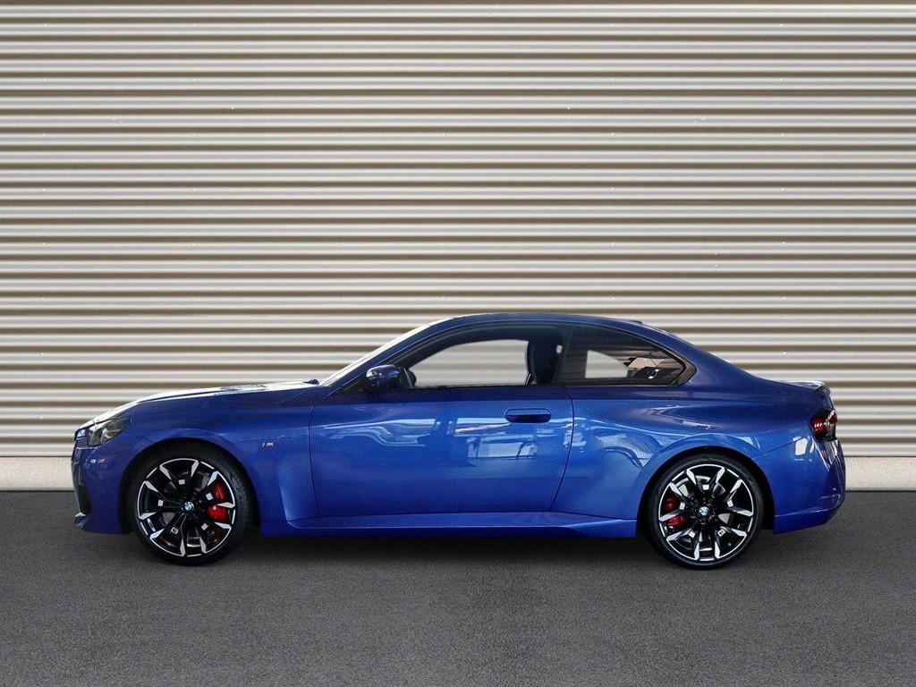 BMW 2 Serie 220 220i