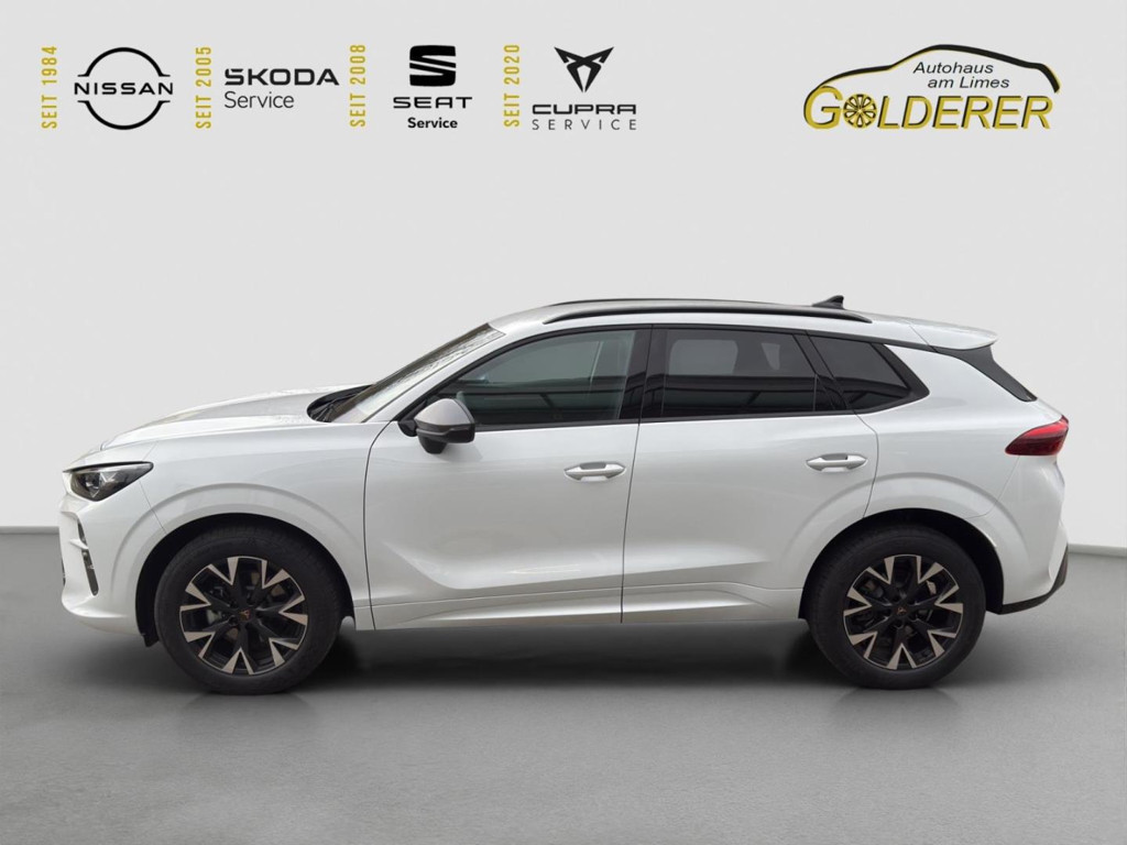 Cupra Terramar