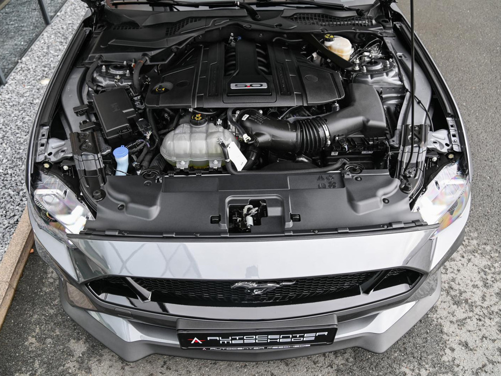 Ford Mustang GT 5.0 V8 Premium