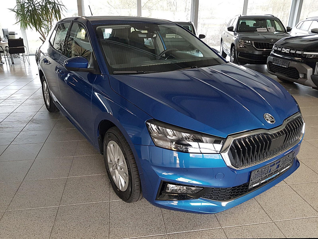 Skoda Fabia Selection