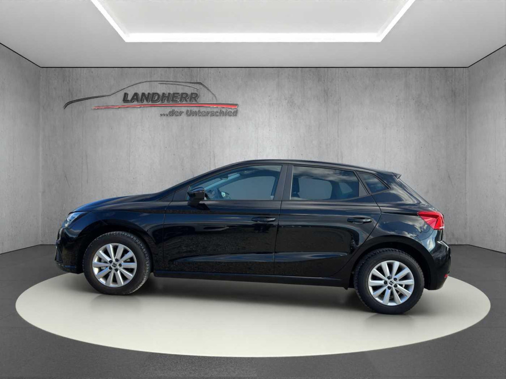 Seat Ibiza Style