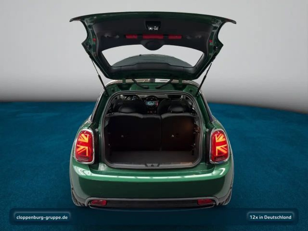 Mini Mini Electric