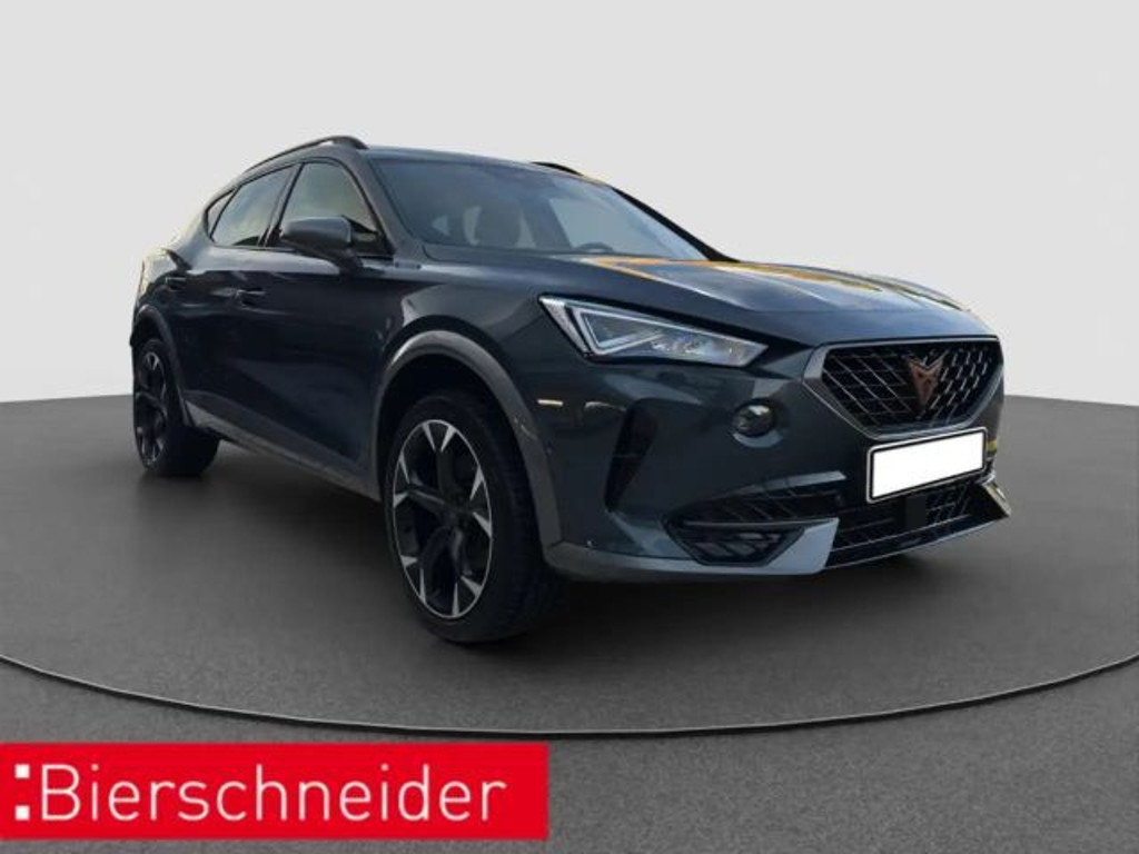 Cupra Formentor 2.0 TSI DSG