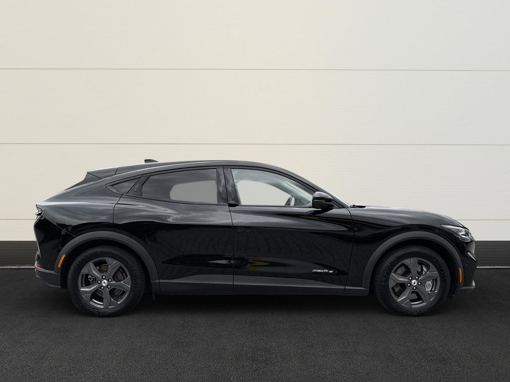 Ford Mustang Mach-E