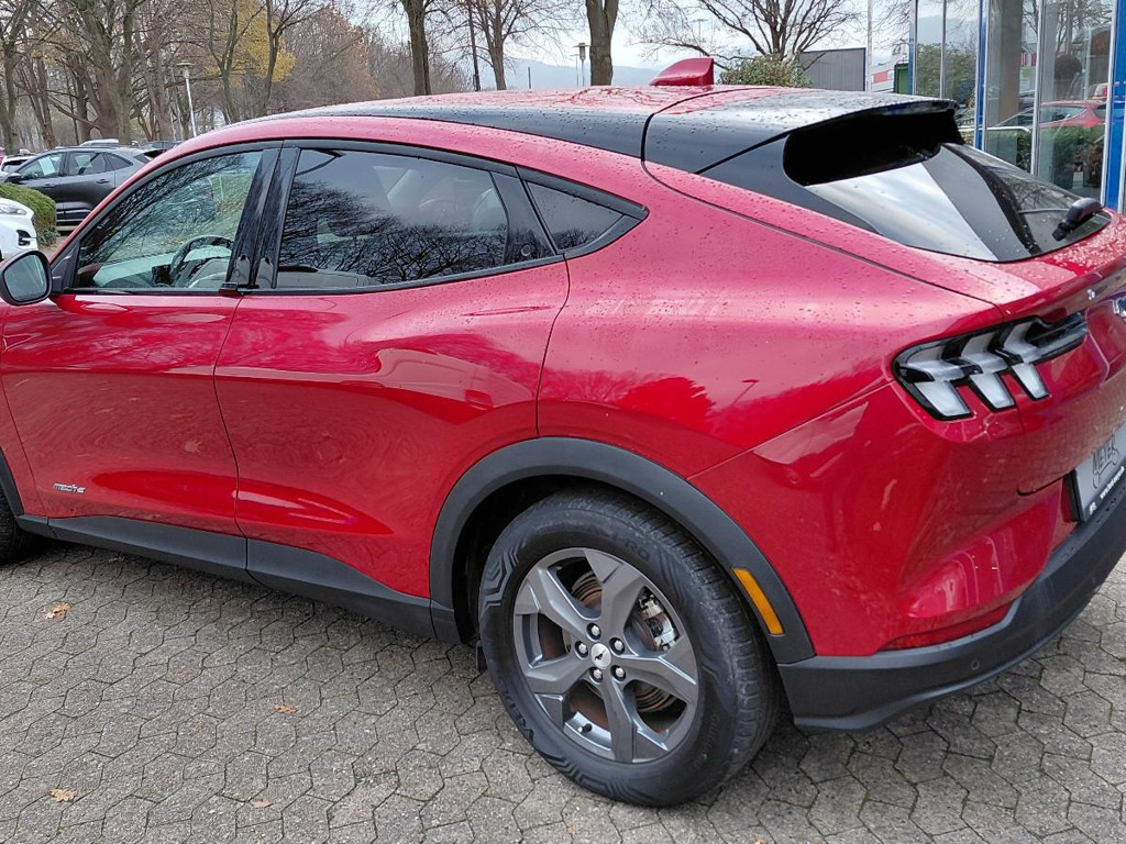 Ford Mustang Mach-E Basis