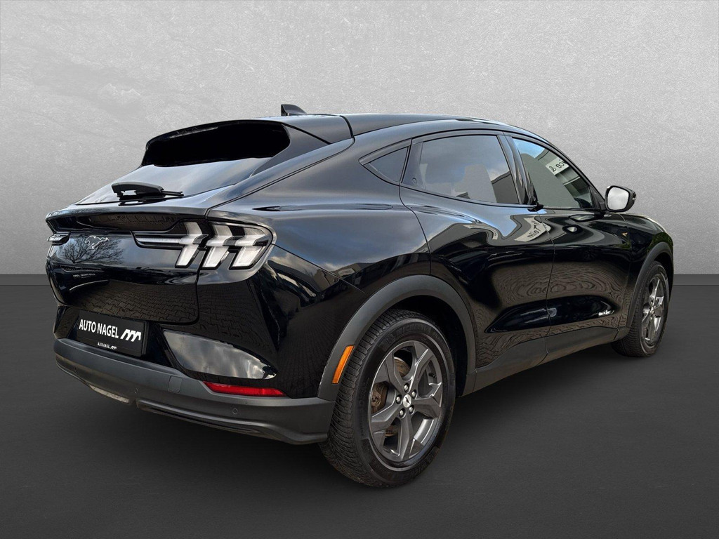 Ford Mustang Mach-E Mustang MACH-E Basis (Extended Range)