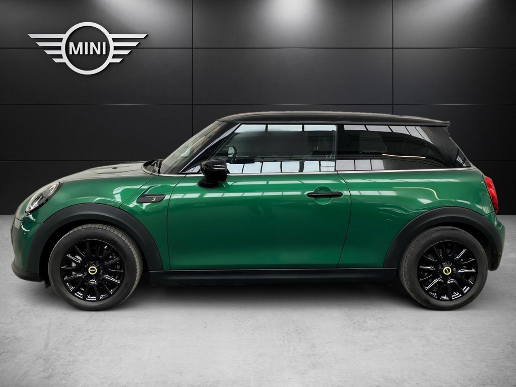 Mini Mini Electric