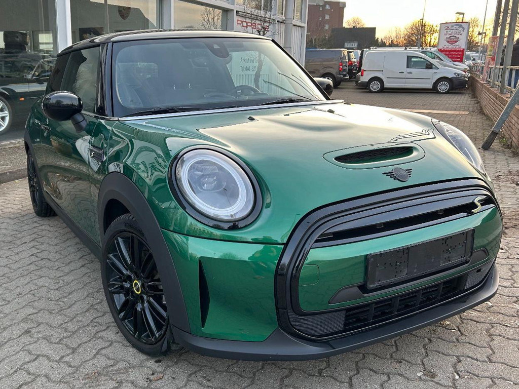 Mini Mini Electric