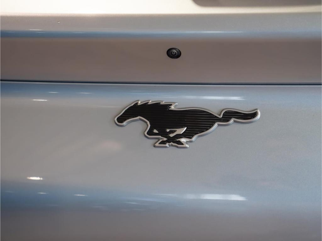Ford Mustang Mach-E