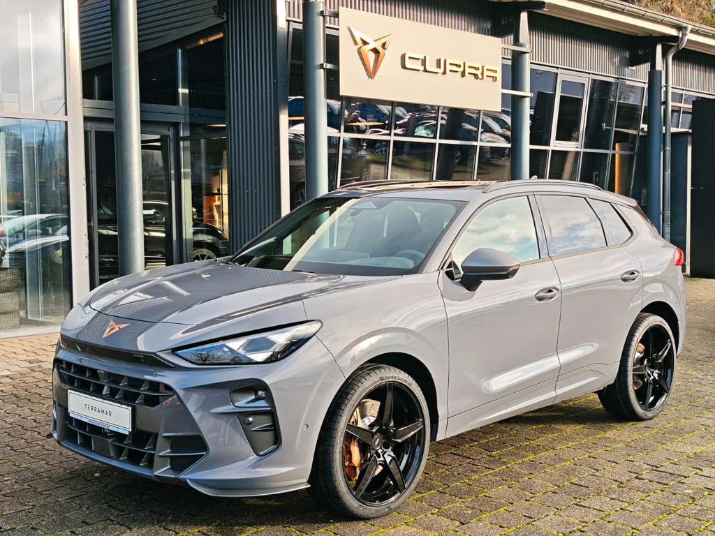 Cupra Terramar VZ