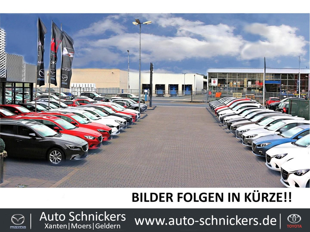 Lexus UX 300e +KAMERA+ACC+GJ-RÄDER !!