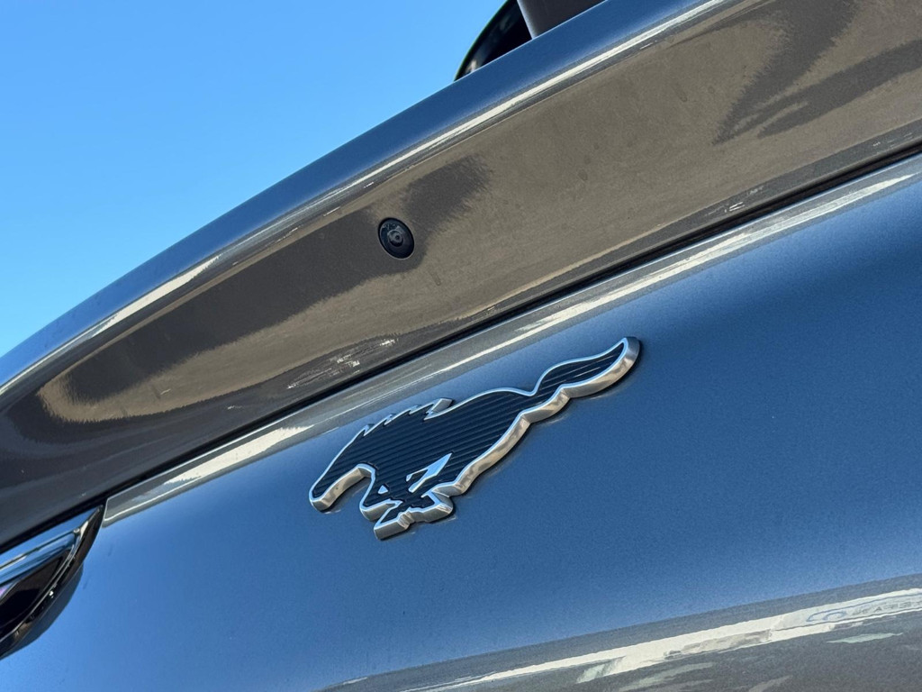 Ford Mustang Mach-E