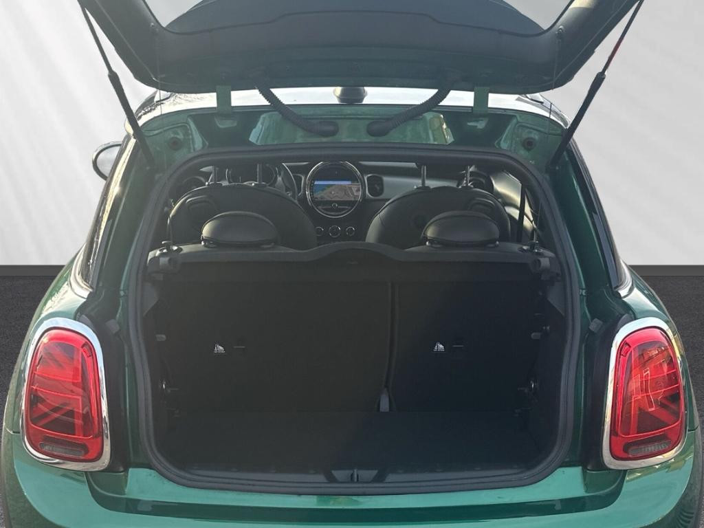 Mini Mini Electric