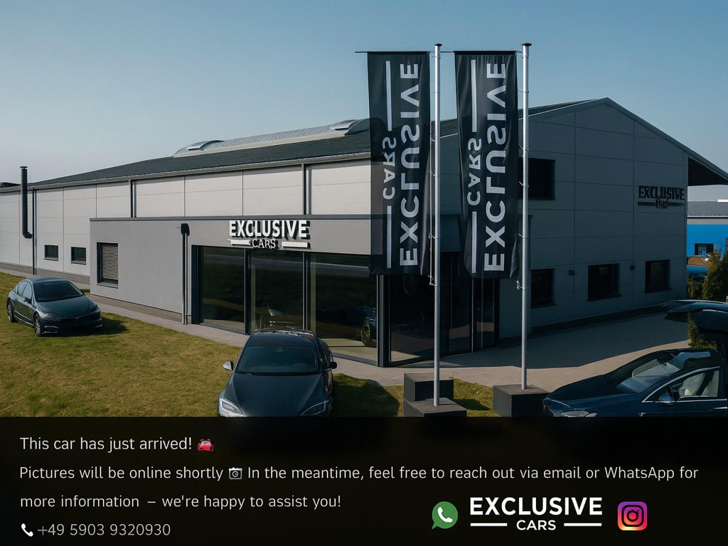 Tesla Model Y Performance