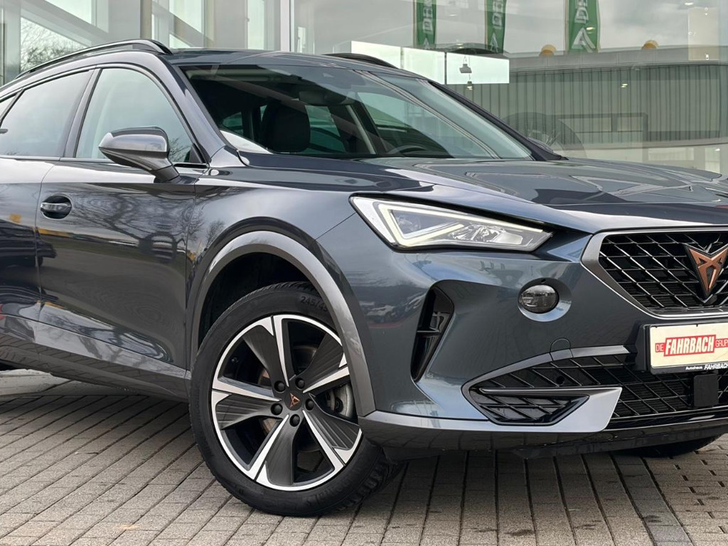 Cupra Formentor PDC HINTEn/WINTER-PAKET/FULL.LINK