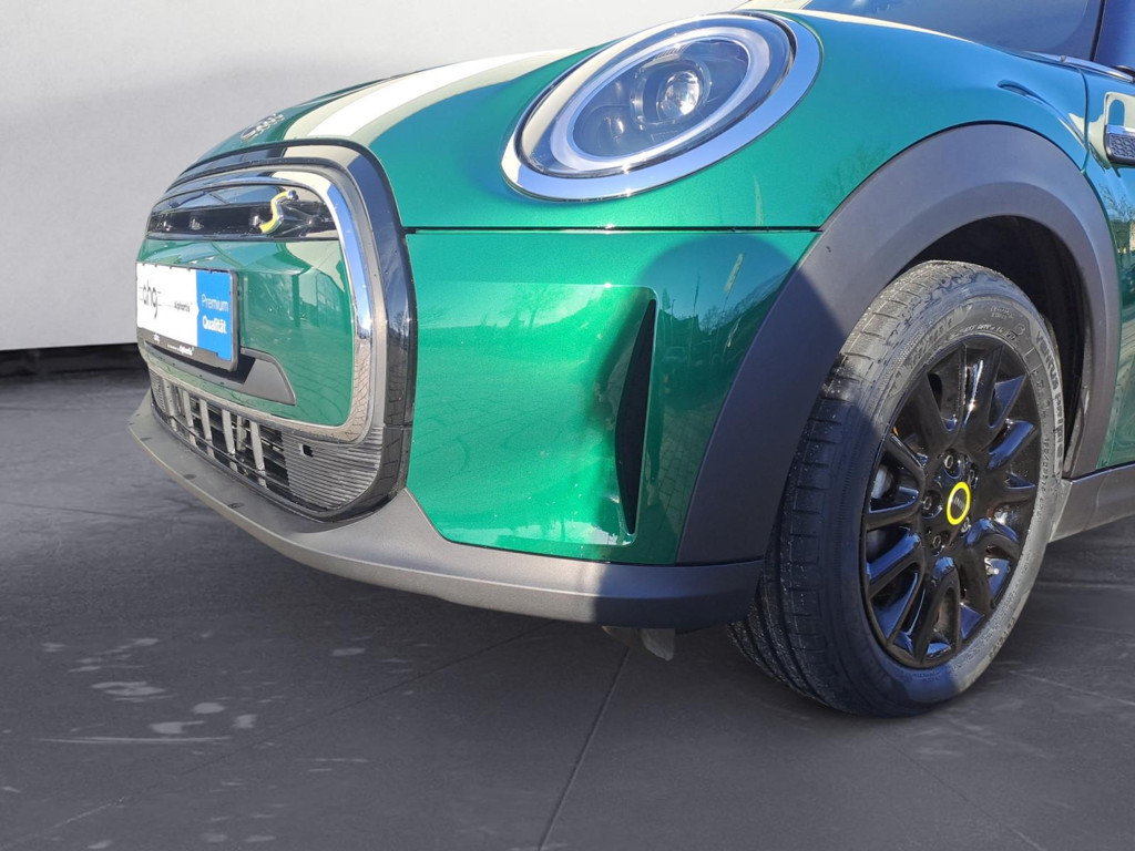 Mini Mini Electric