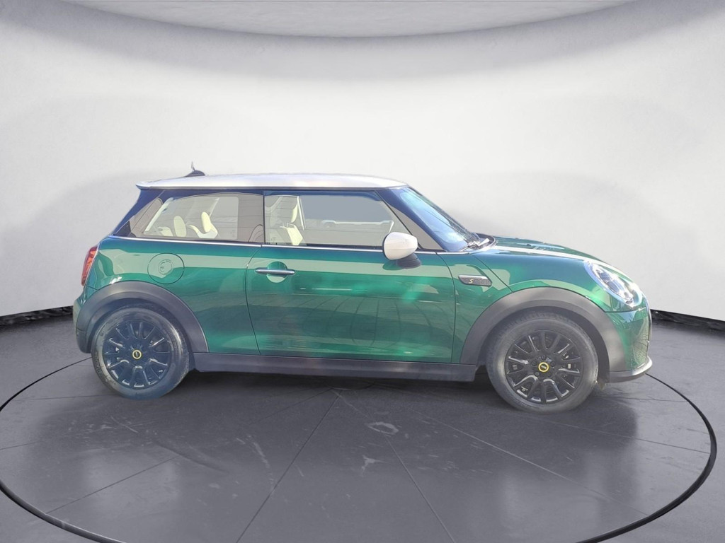 Mini Mini Electric