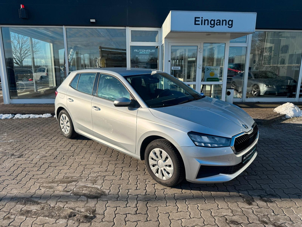 Skoda Fabia PDC, CarPlay, Sitzheizung