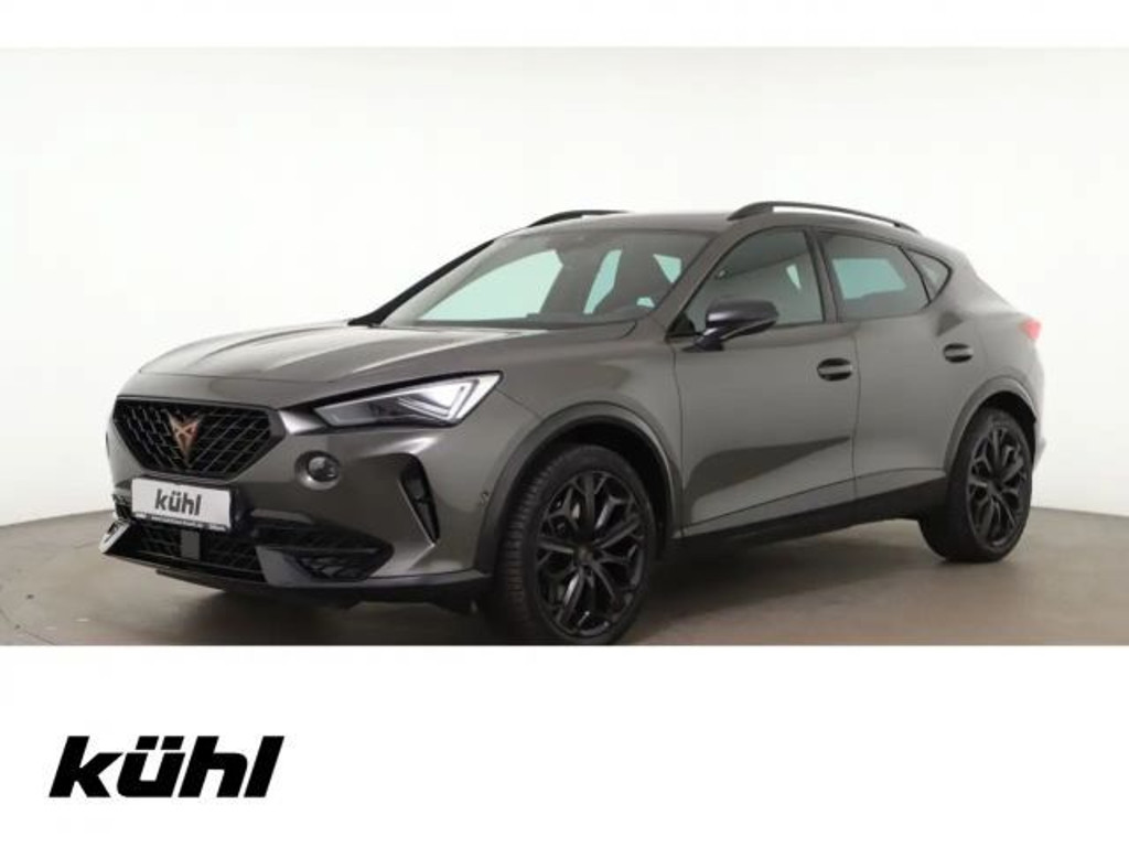 Cupra Formentor 2.0 TSI DSG