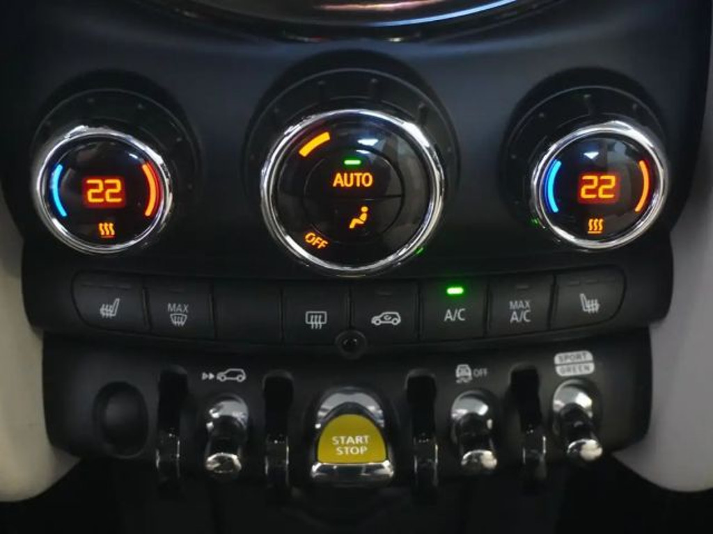 Mini Mini Electric