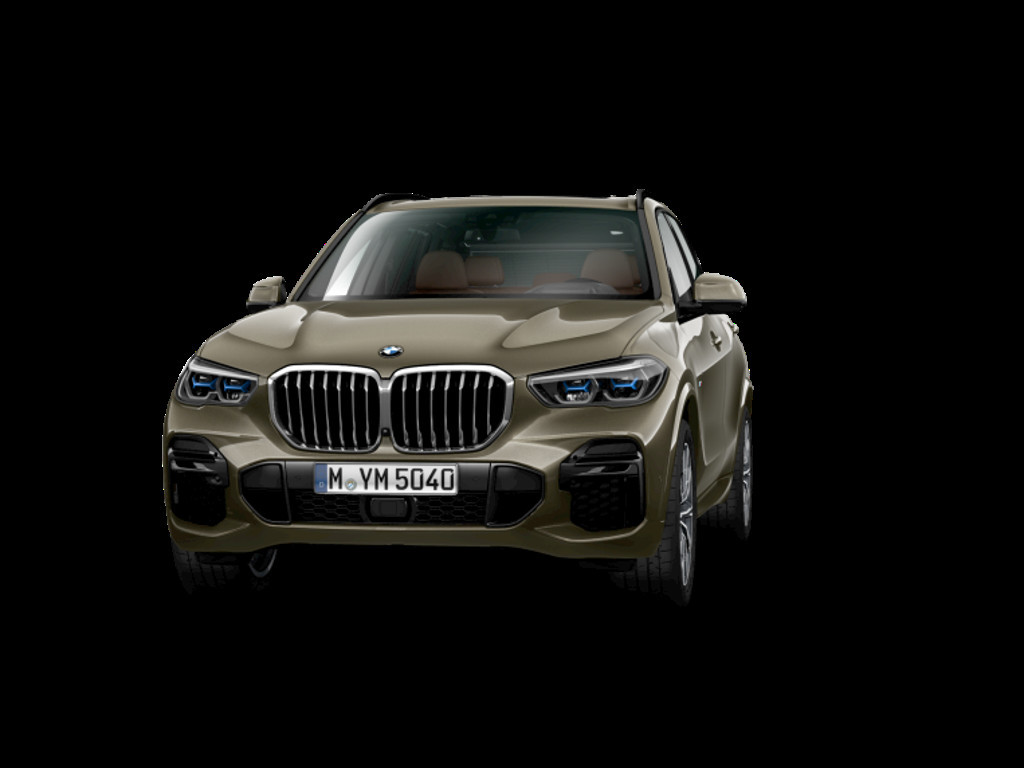 BMW X5 Sedan xDrive40d