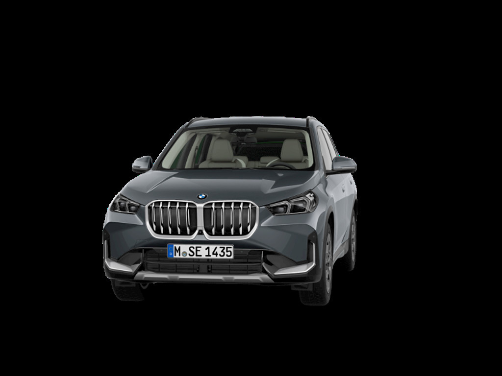 BMW X1 X1 23D X1 xDrive23d