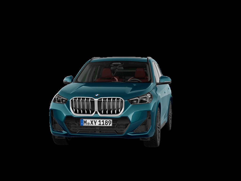 BMW X1 X1 23D X1 xDrive23d