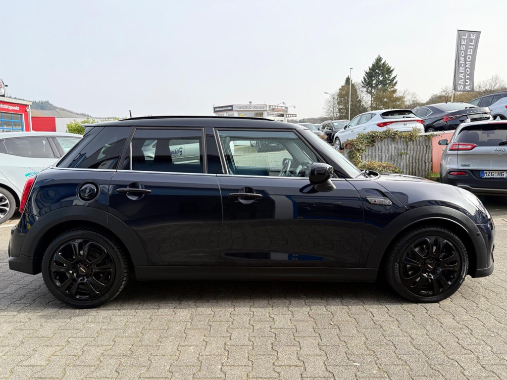 Mini Mini Electric