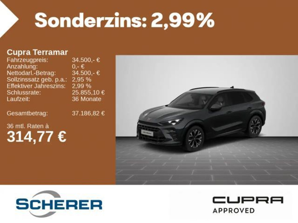 Cupra Terramar 1.5 eTSI