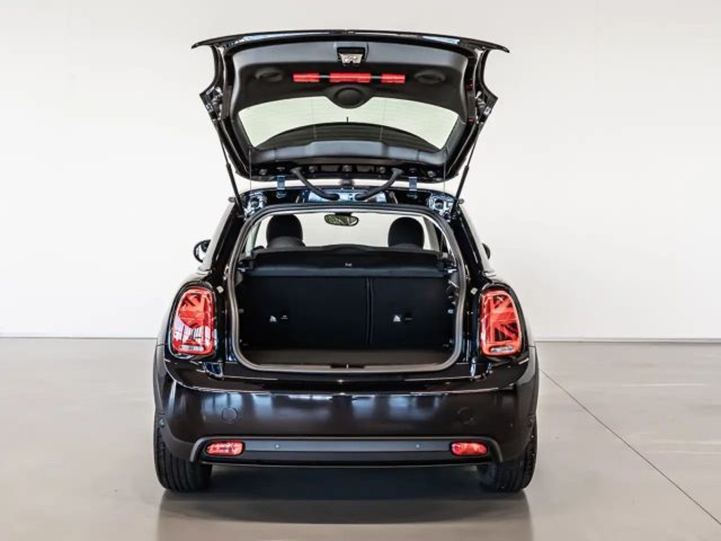Mini Mini Electric