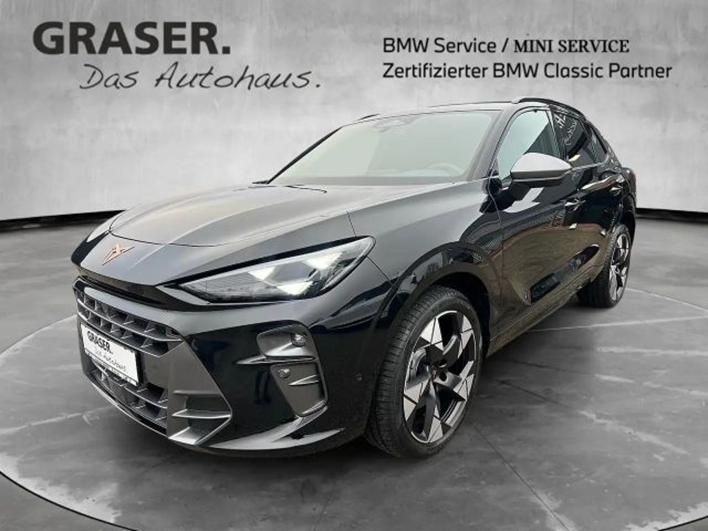 Cupra Terramar 2.0 TSI