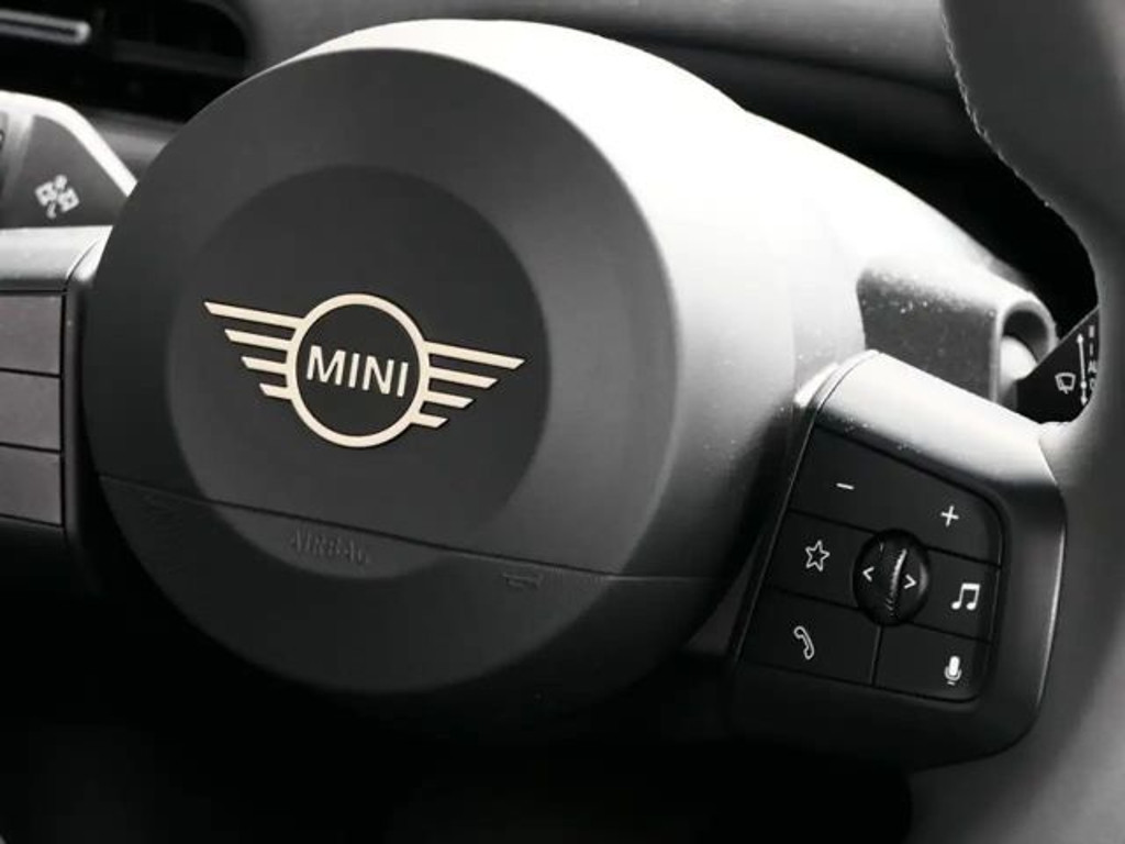 Mini Mini Electric