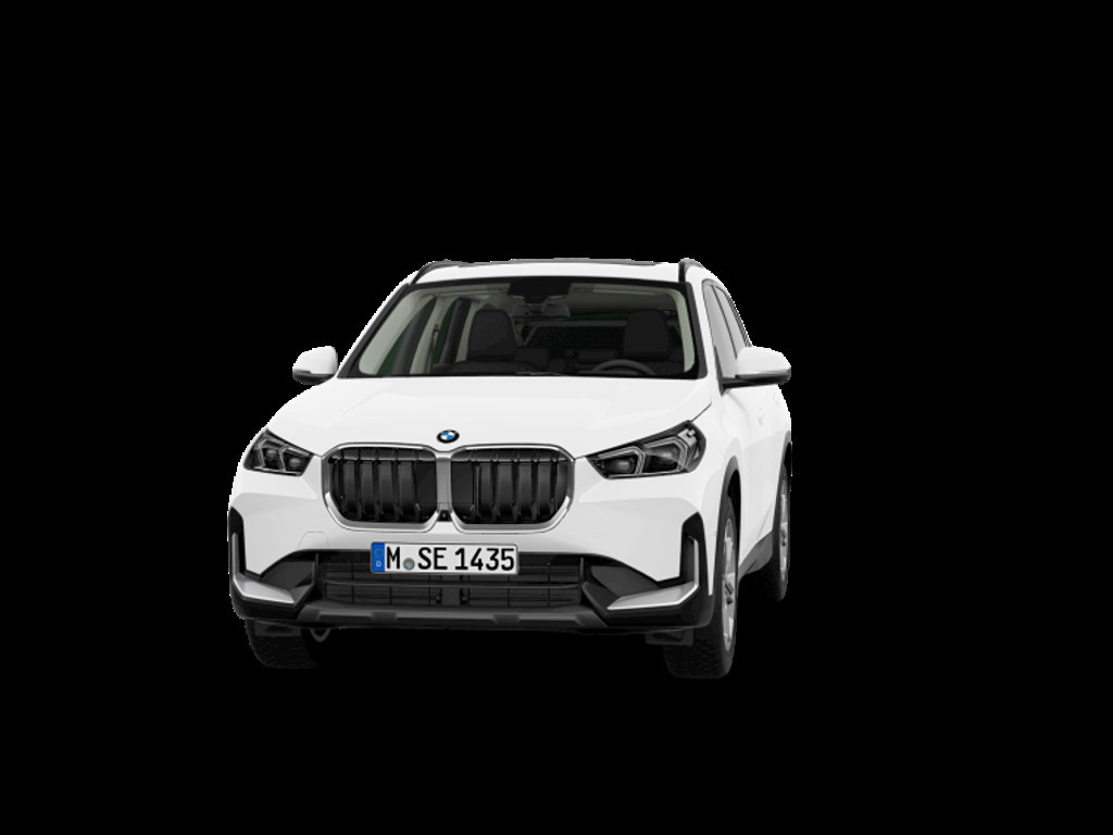 BMW X1 X1 23D X1 xDrive23d